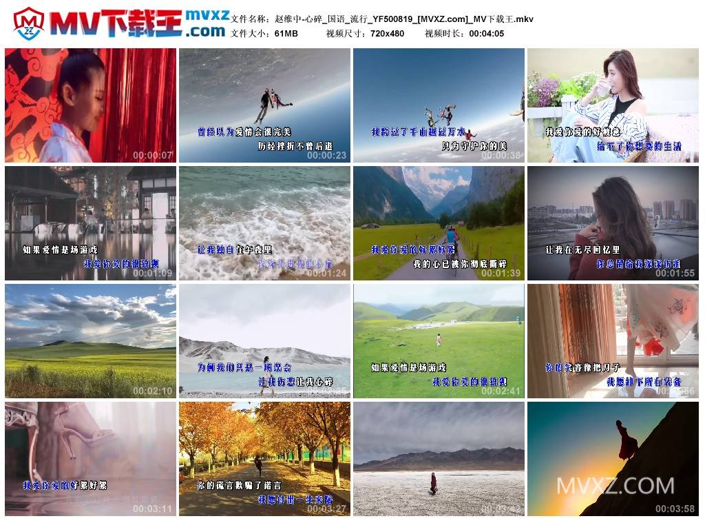 赵维中-心碎_国语_流行_YF500819